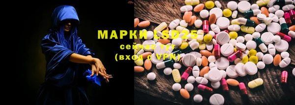 прущие крисы Гусев