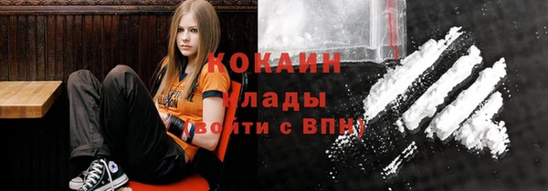 трава Гусиноозёрск