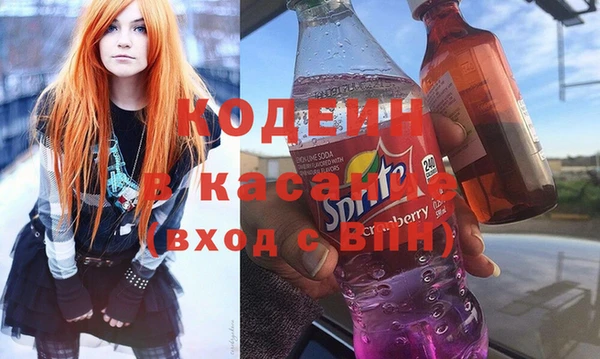 трава Гусиноозёрск
