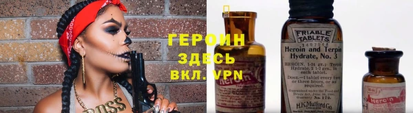 трава Гусиноозёрск