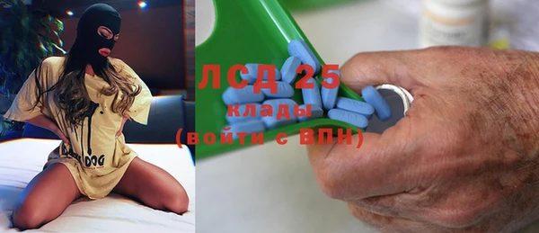 прущие крисы Гусев