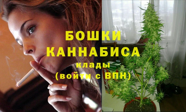 молекула духа Гусь-Хрустальный