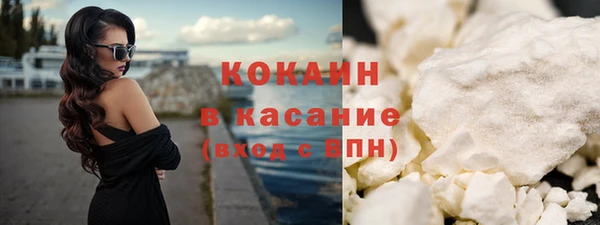 трава Гусиноозёрск