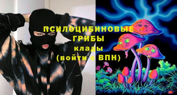 прущие крисы Гусев