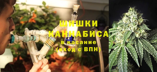 трава Гусиноозёрск