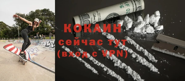 трава Гусиноозёрск