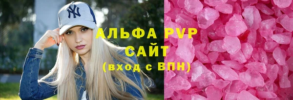 прущие крисы Гусев