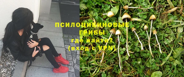 прущие крисы Гусев