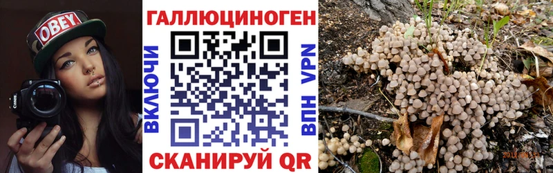 дарнет шоп ОМГ ОМГ вход Псилоцибиновые грибы Cubensis Мытищи